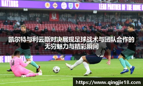 哈哈体育